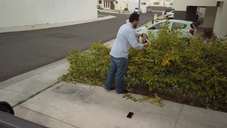 Gardner-trimming-down-the-bushes-B