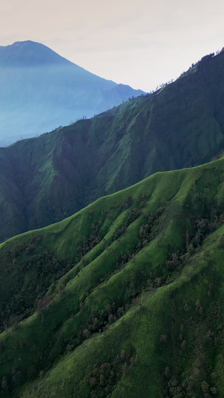 A vertical drone view captures the lush green hill in Bali bathed in soft early morning light with majestic Mount Agung rising behind it, creating a stunning and peaceful natural panorama.
