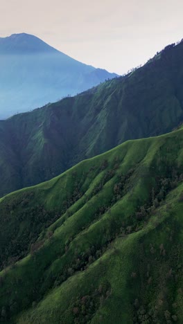 a vertical drone view captures the lush green hill in bali bathed in soft early morning light with majestic mount agung rising behind it, creating a stunning and peaceful natural panorama.