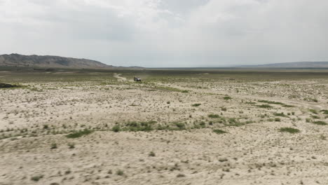 jeep cruising on dirt road through arid sandy steppe in georgia