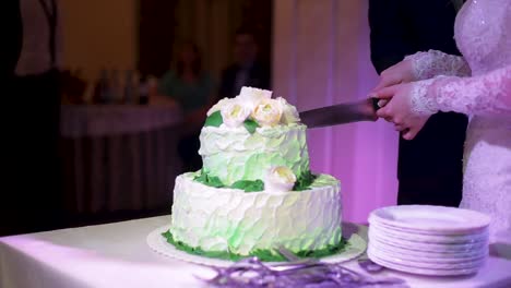 bride and groom cutting a wedding cake