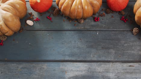 video of pumpkins with pinecones and rowanberries on wooden background