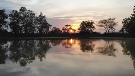 paisaje forestal amanecer sobre el agua imágenes de drones cinematográficos toma aérea de un bosque de pinos y un río durante la puesta de sol