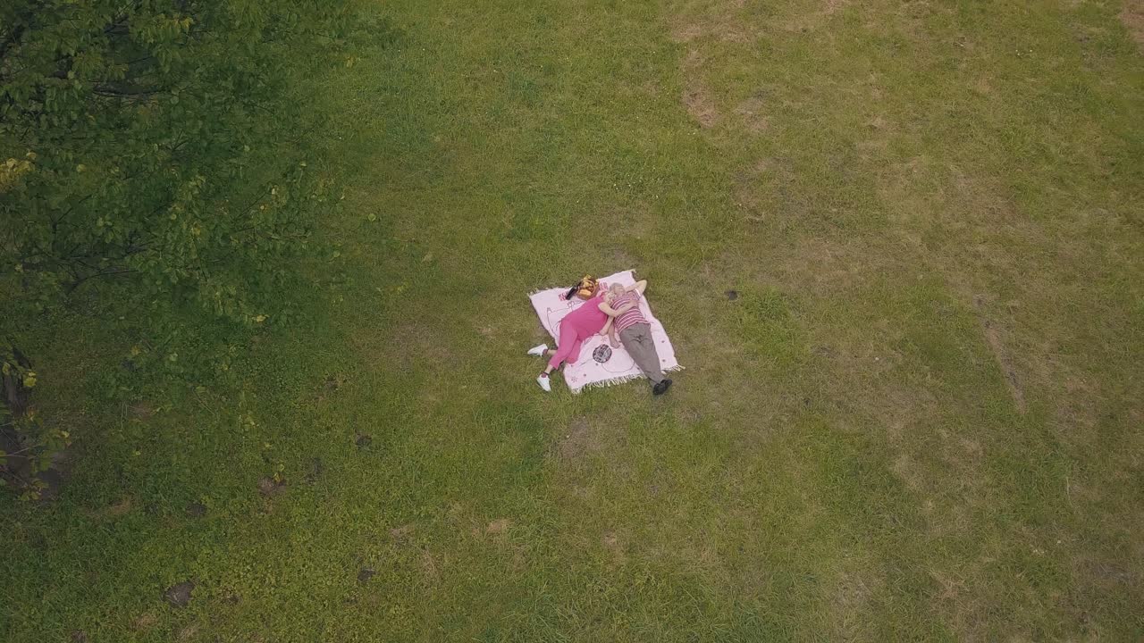 공원에서 주말 가족 피크닉. 공중 풍경. 노인 부부가 녹색 잔디 잔디에 담요에 누워