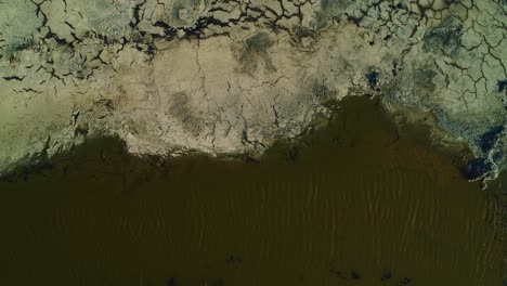 drone rising top down view of toxic green water lining asphalt lake runoff, willemstad