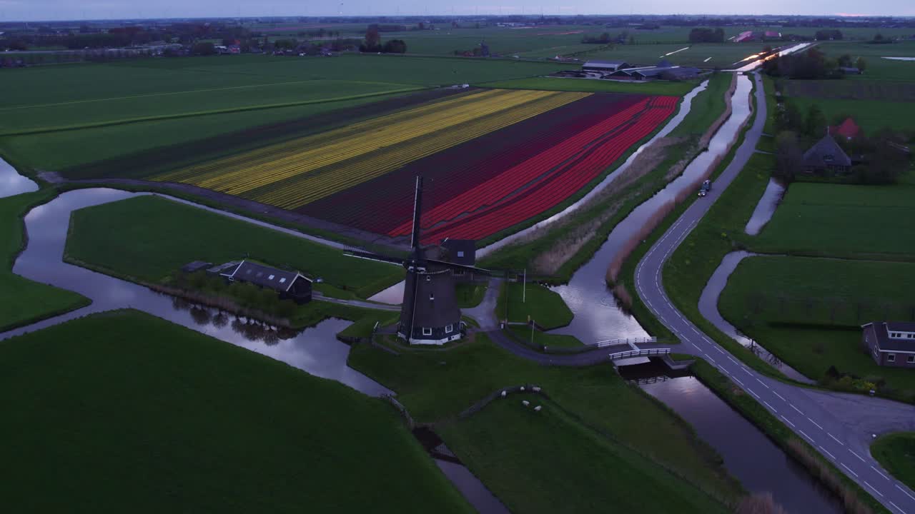 Vista aerea di Heerhugowaard con Veenhuizer, mulino a vento e tulipani, che mostra un vivace paesaggio rurale nei Paesi Bassi.