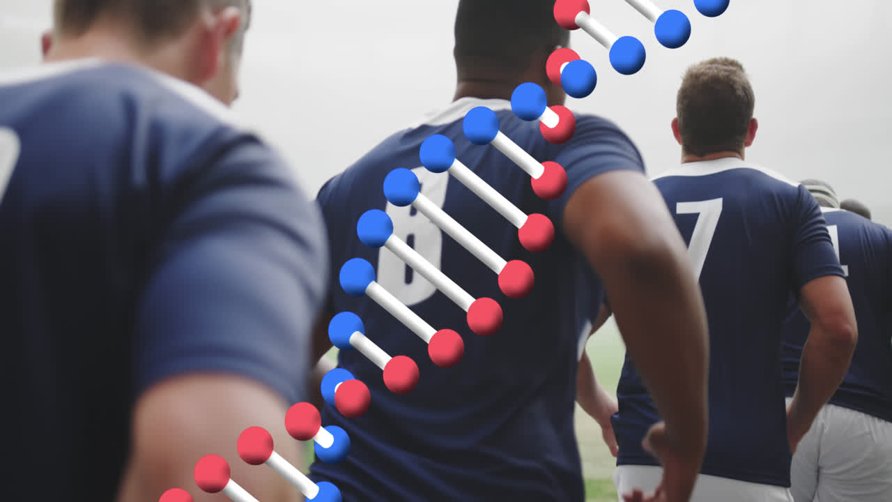 animación de cadena de adn sobre jugadores de rugby masculinos en el estadio