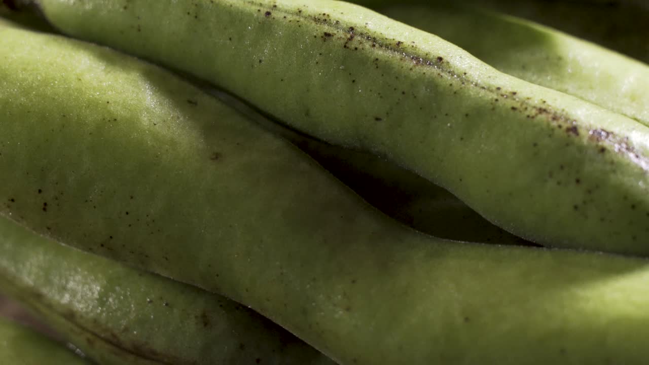 Close-up of fresh fava beans
