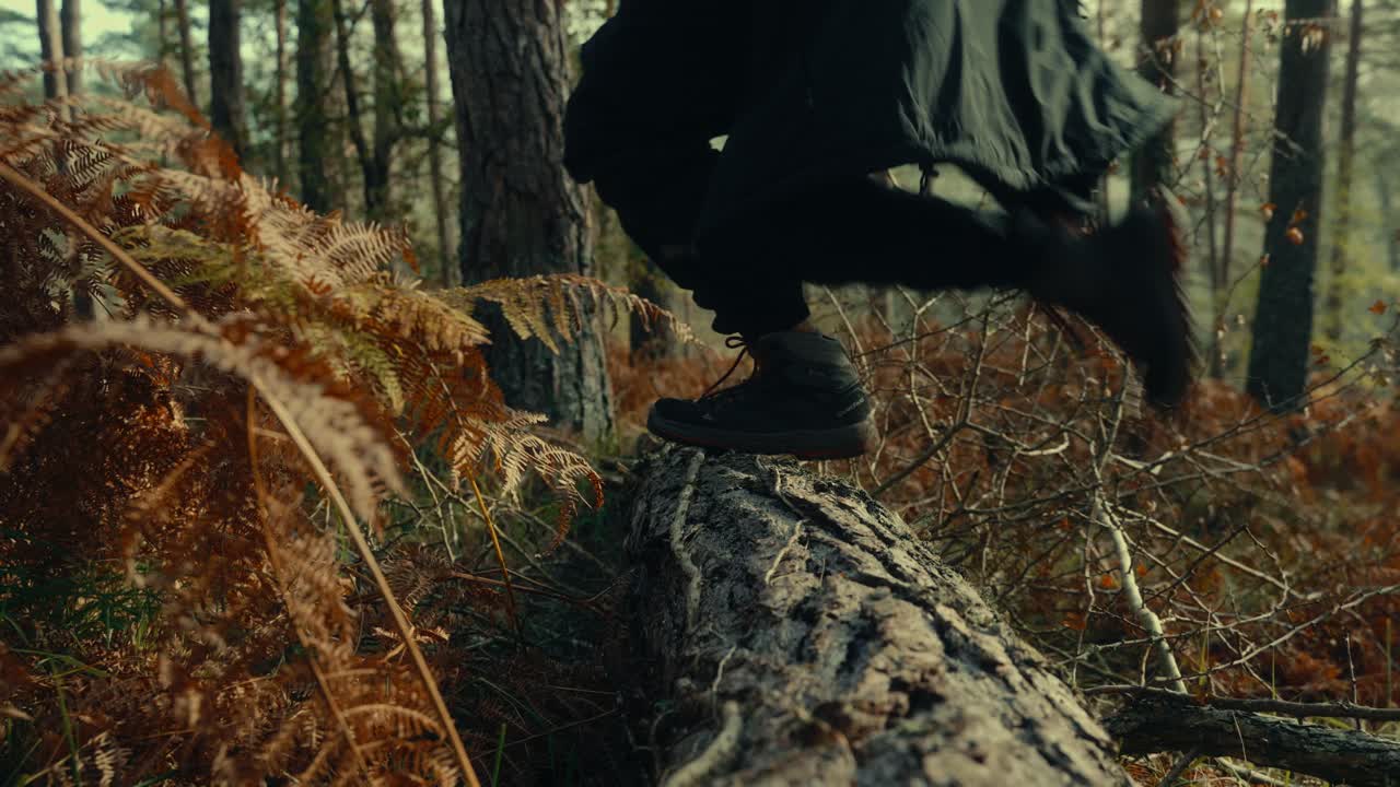 Person Stepping Over a Fallen Log in a Forest