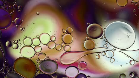 abstract colorful food oil drops bubbles and spheres flowing