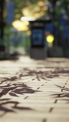 shadows of leaves on a brick pathway