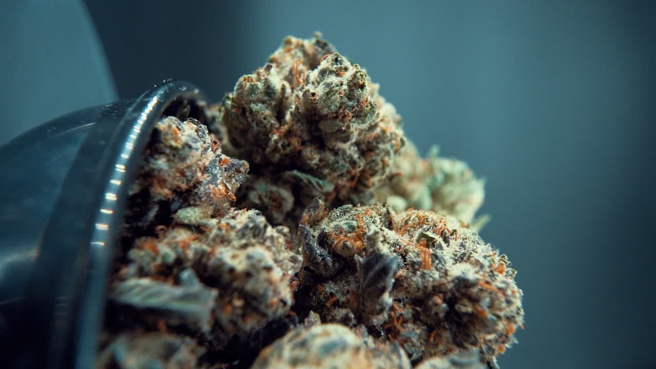 A vertical macro close up cinematic shot of a cannabis plant, marijuana flower, hybrid strains, Indica and sativa, on a 360 rotating stand in a shiny bowl, 120 fps slow motion, Full HD