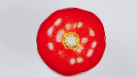 tomato rotating on light background. vegetarian food. top view