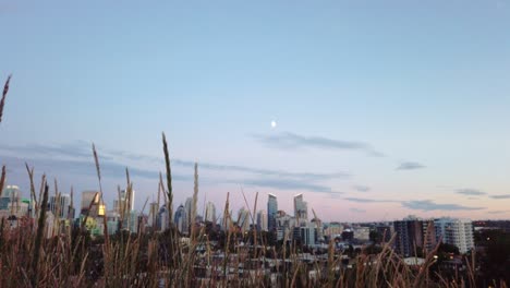 skyline with grass with moon in evening rack focus tilt calgary alberta canada