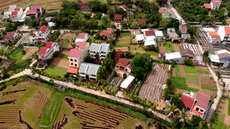 Rural-farmers-houses-and-rice-paddy-fields-in-Da-Nang-Vietnam,-rising-aerial