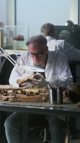 paleontologist examining ancient bone fragment