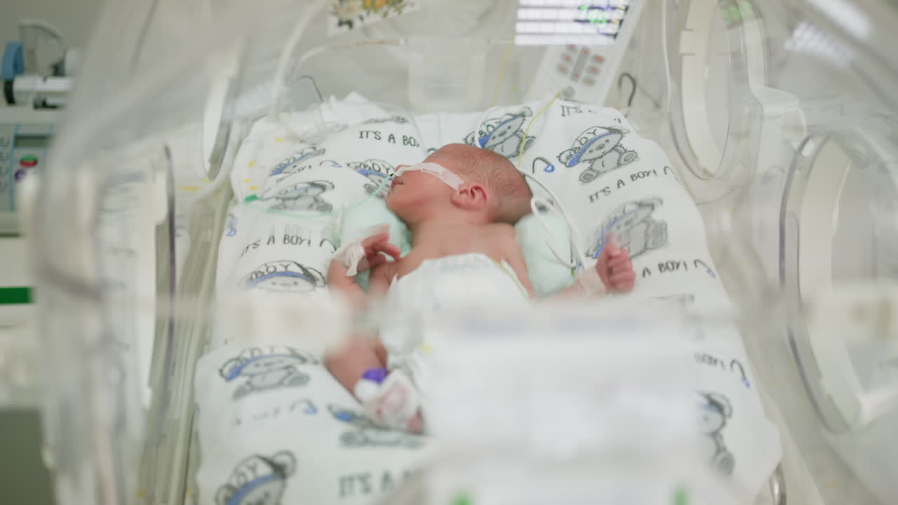 Newborn Baby in Incubator