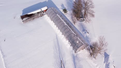 greenhouse in winter with snow