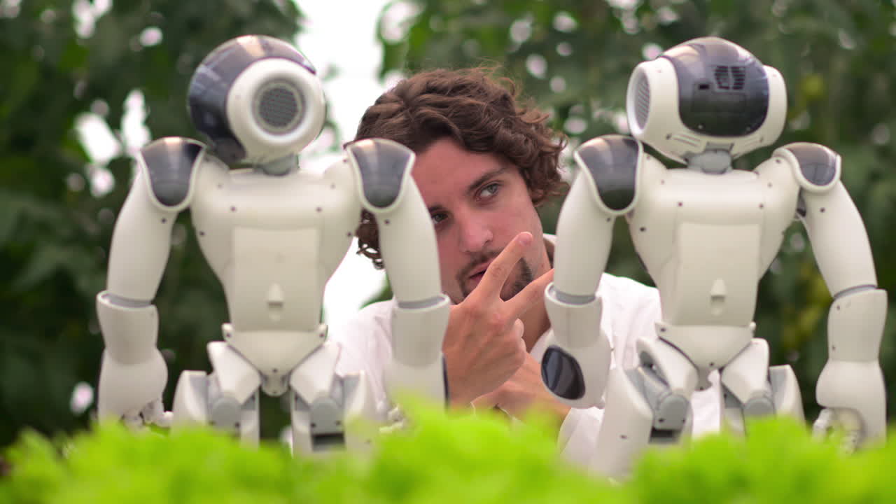 Laboratory technician in a white coat interacting with two humanoid robots near different types of lettuce in a greenhouse farm