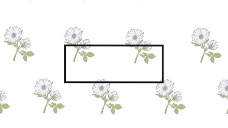 Animation-of-black-frame-with-copy-space-over-flowers-on-white-background