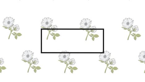 animación de marco negro con espacio de copia sobre flores sobre fondo blanco