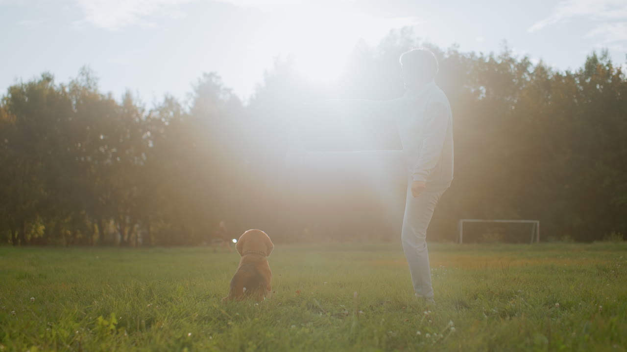 Female trainer performs leg raise exercise with outstretched hand leaning forward while dog watches on green field during sunny day in outdoor park with soccer goal in background