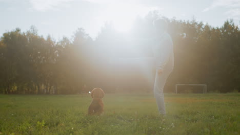 female trainer performs leg raise exercise with outstretched hand leaning forward while dog watches on green field during sunny day in outdoor park with soccer goal in background