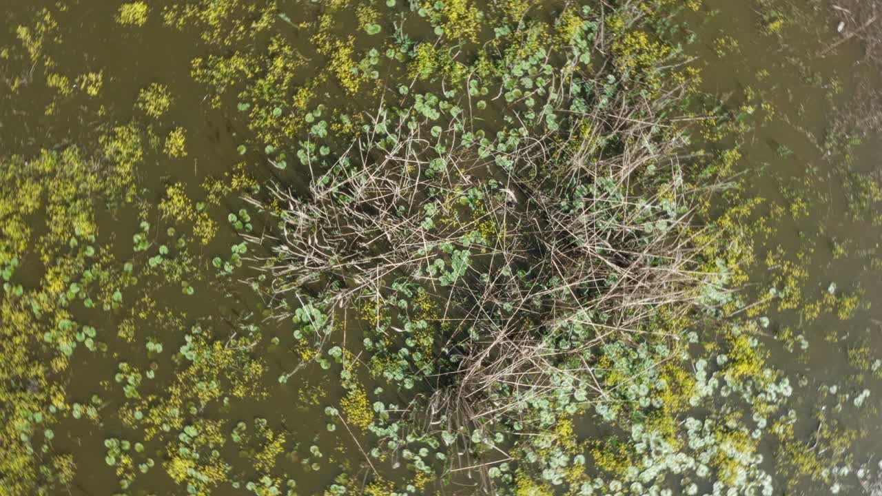 그리스 북부 에 있는 케르키니 호수 - 벨레스 산 에서 촬영 된 공중 영상