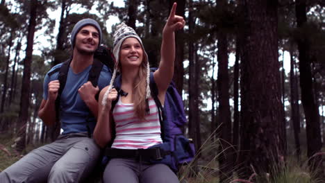 Pareja-Caminando-Por-Un-Bosque