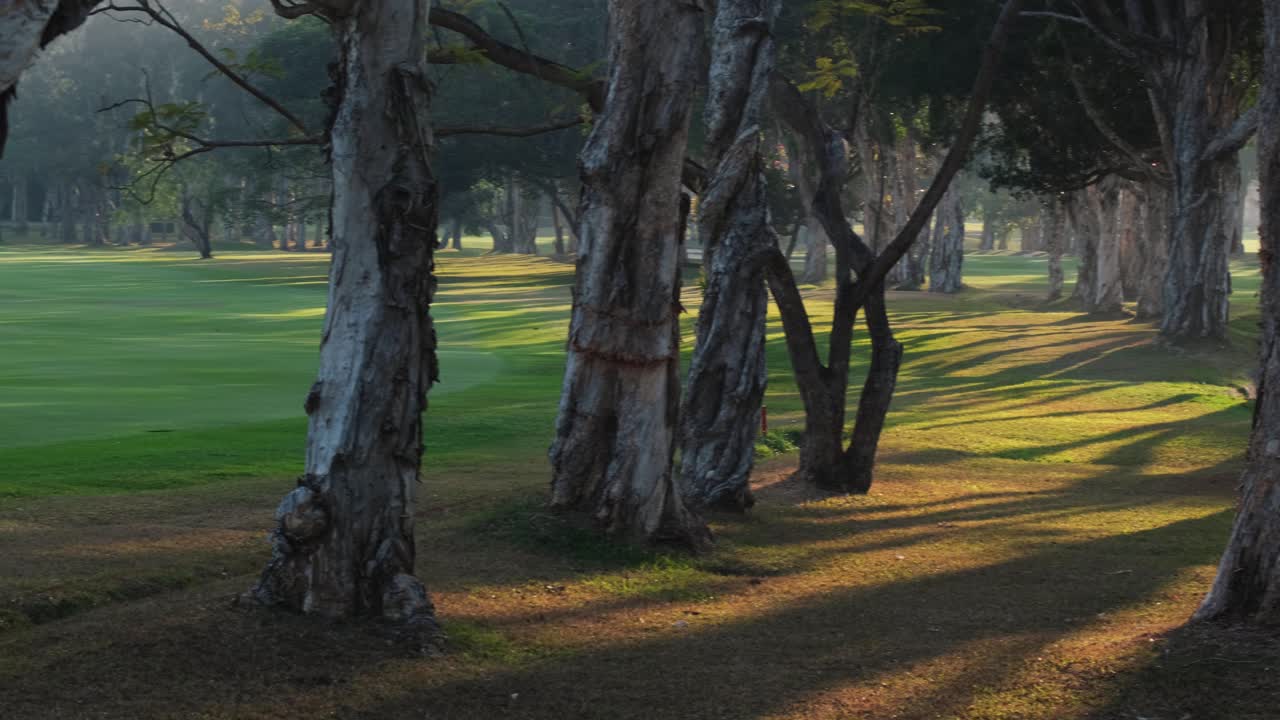 Un bellissimo campo da golf al tramonto. Ripresa panoramica.