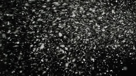 stormy weather, snow falling, big snowflakes with gusts of wind, isolated on black background. real lens flare that is easy to use in blend / overlay modes.