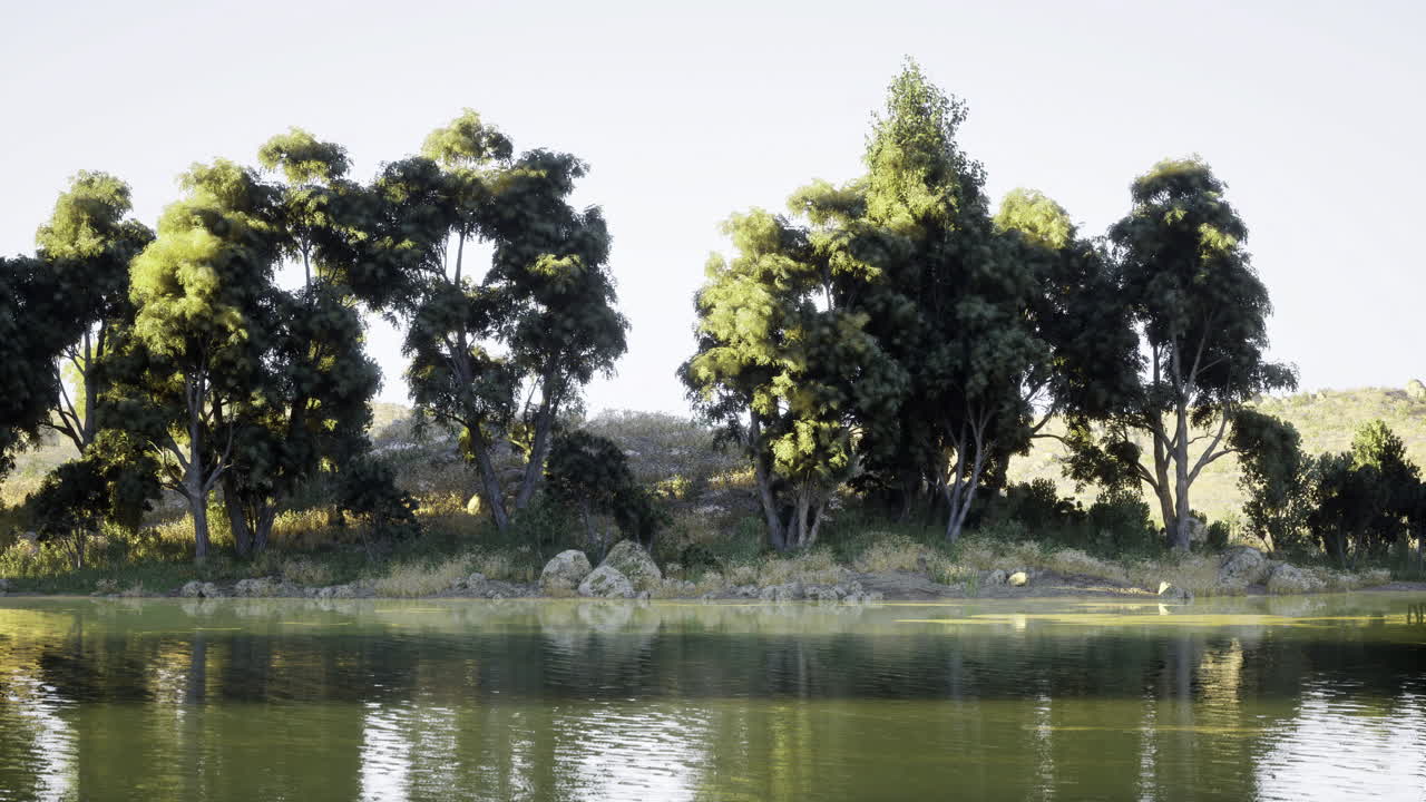 Lush greenery and calm waters reflect natures beauty by a serene lake