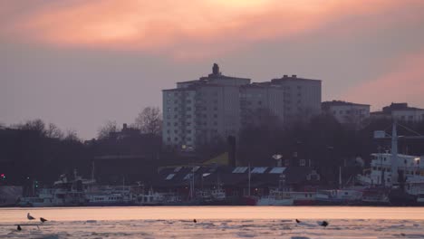 Toma-De-Teleobjetivo-De-Edificios-De-Apartamentos-En-Estocolmo-Contra-Una-Puesta-De-Sol-Naranja