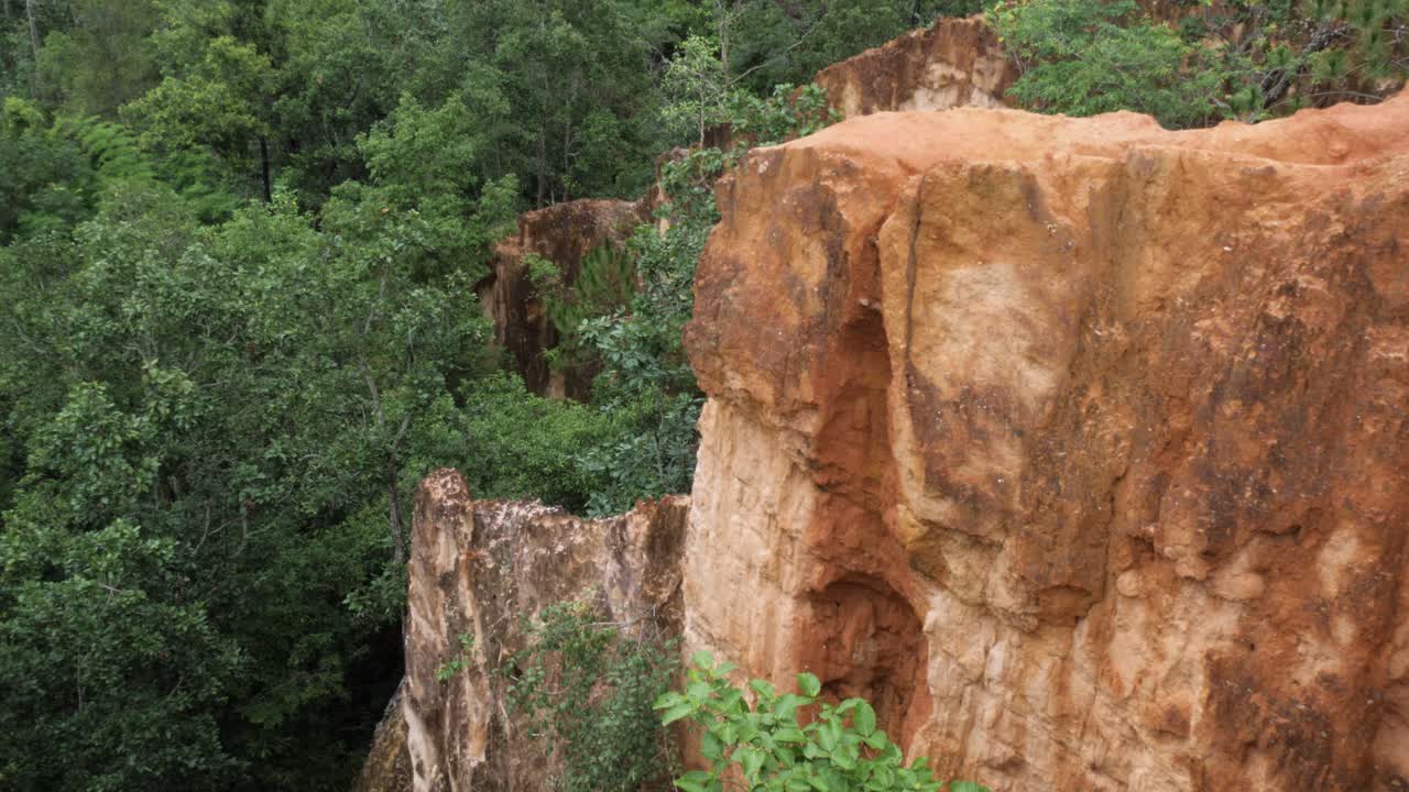 Rugged cliff edges surrounded by lush forest, showcasing a natural, wild landscape