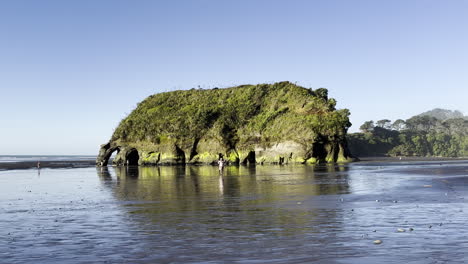 amazing view of the elephant rock near tongaporutu, north taranaki coast, new zealand