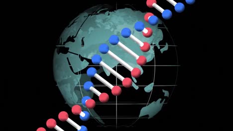 Animation-Eines-DNA-Strangs,-Der-Sich-Auf-Schwarzem-Hintergrund-über-Den-Globus-Dreht