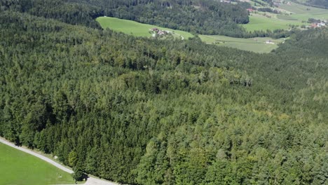 Drone-view-of-cars-parked-on-the-road-with-a-huge-forest-at-the-back