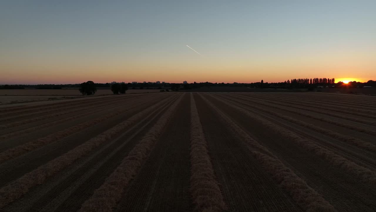 Niedrige Luftaufnahme in der Dämmerung über Ackerland mit ordentlichen Strohreihen nach der Ernte