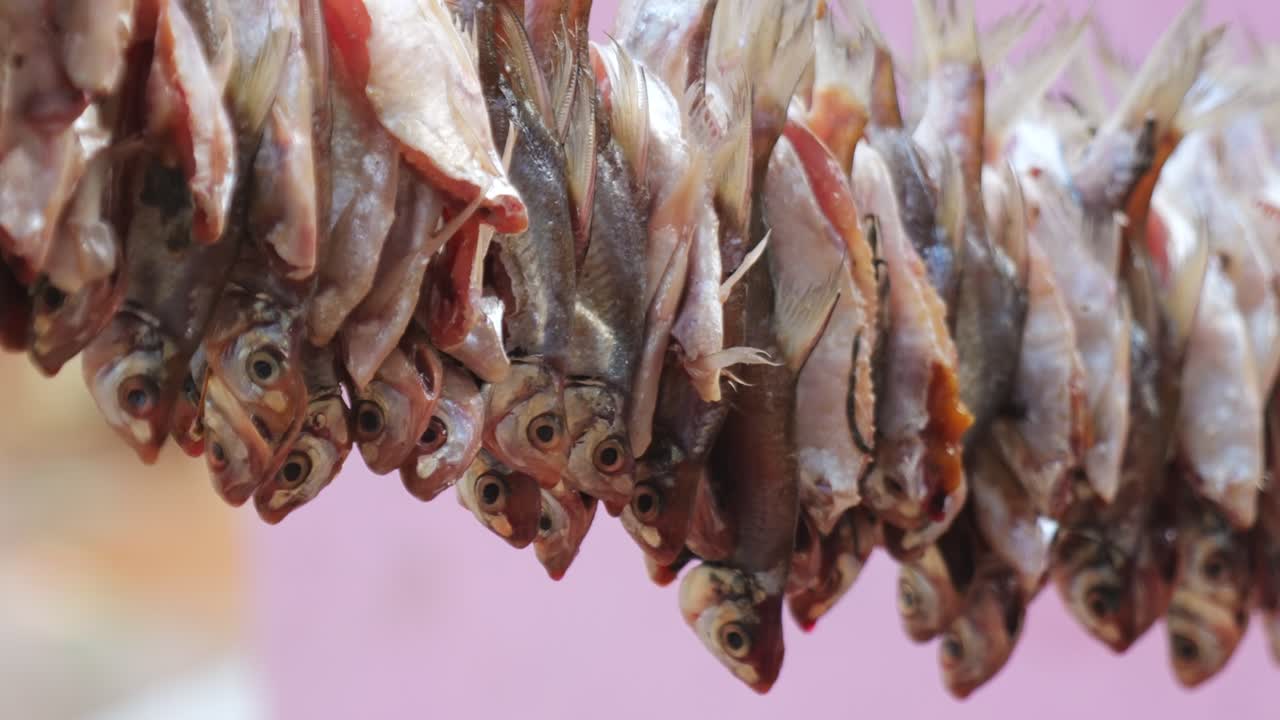 Fishes hanging on Rope for drying and Swinging due to wind at vizag colony, azmapur, telangana, india. day time, pan shot, 4k.