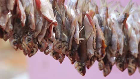 fishes hanging on rope for drying and swinging due to wind at vizag colony, azmapur, telangana, india. day time, pan shot, 4k.