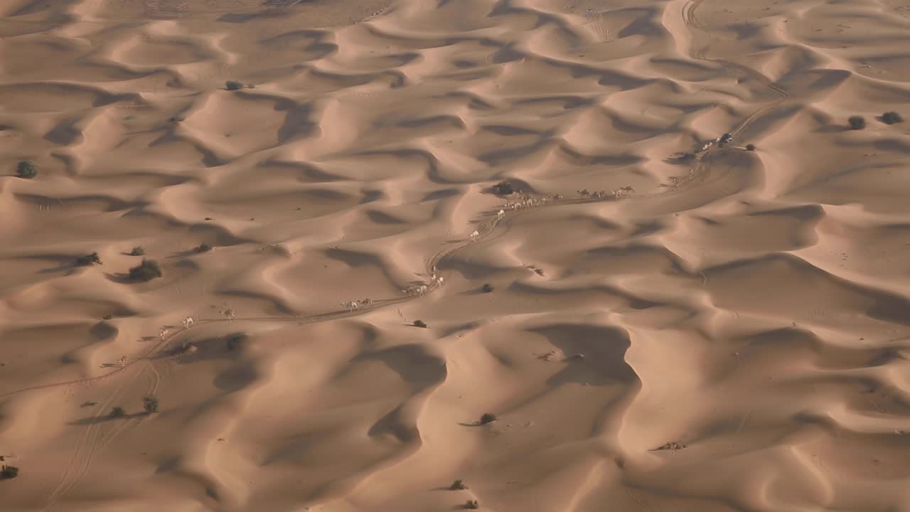 砂漠の船 - アラブ首長国連邦ドバイの砂丘のある砂漠を横切るラクダのキャラバン