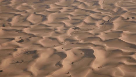 Ship-Of-The-Desert---Caravans-Of-Camels-Crossing-The-Desert-With-Sand-Dunes-In-Dubai,-United-Arab-Emirates