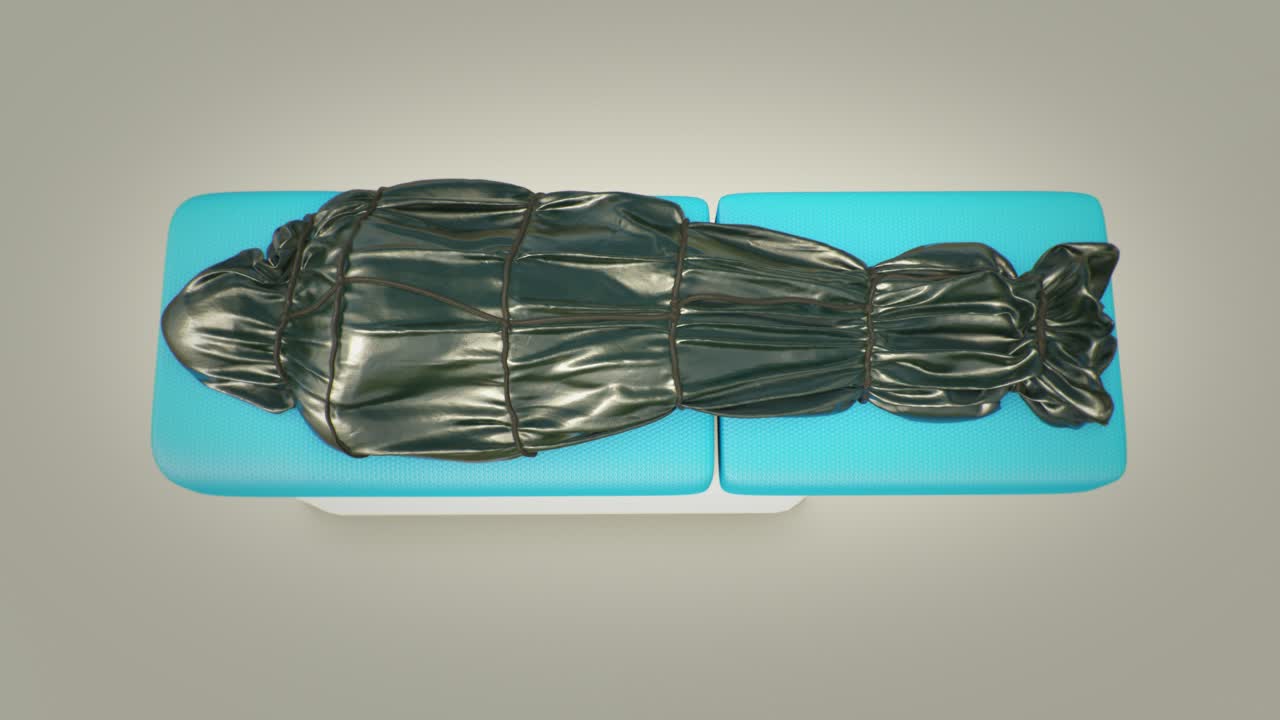 труп или труп человека, умершего от коронавируса