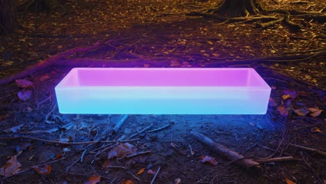 illuminated container on forest floor at twilight