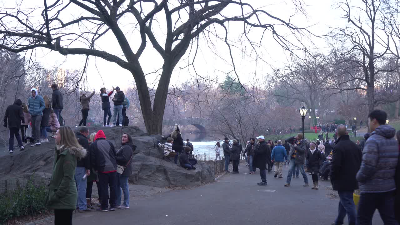 People Walking and Hanging Out in Central Park During Christmas Holiday Time, Wide View with Gapstow Bridge in the Background