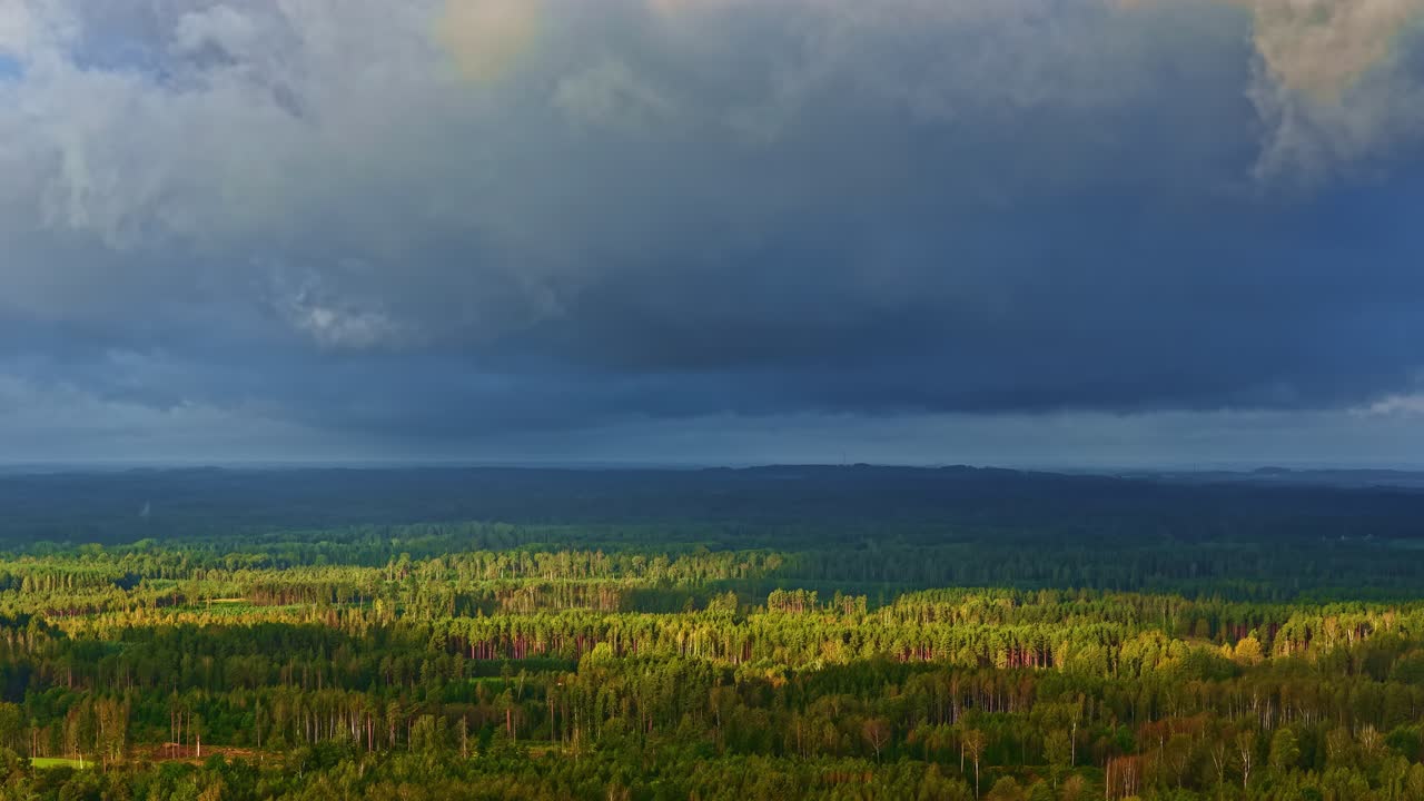 Dark storm clouds approaching over yellow dense forest, dramatic background