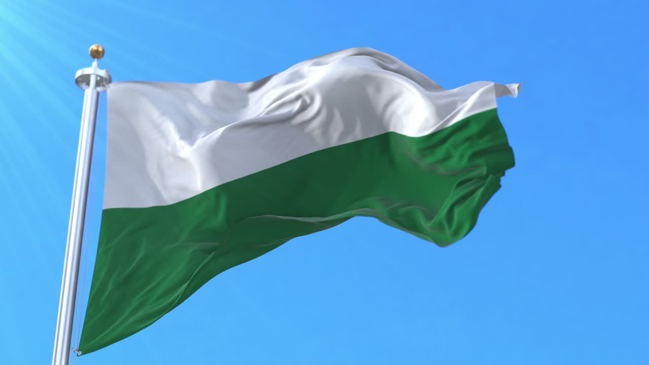 bandera del departamento de pando, bolivia. bucle