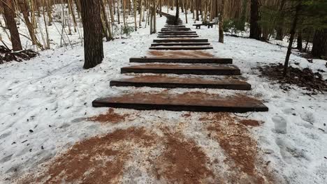 Point-of-View-The-Treetop-Walking-Path-Complex-Anyksciai-Laju-Takas,-Anyksciai-Pinewood,-the-Observation-Tower-and-Sventoji-River