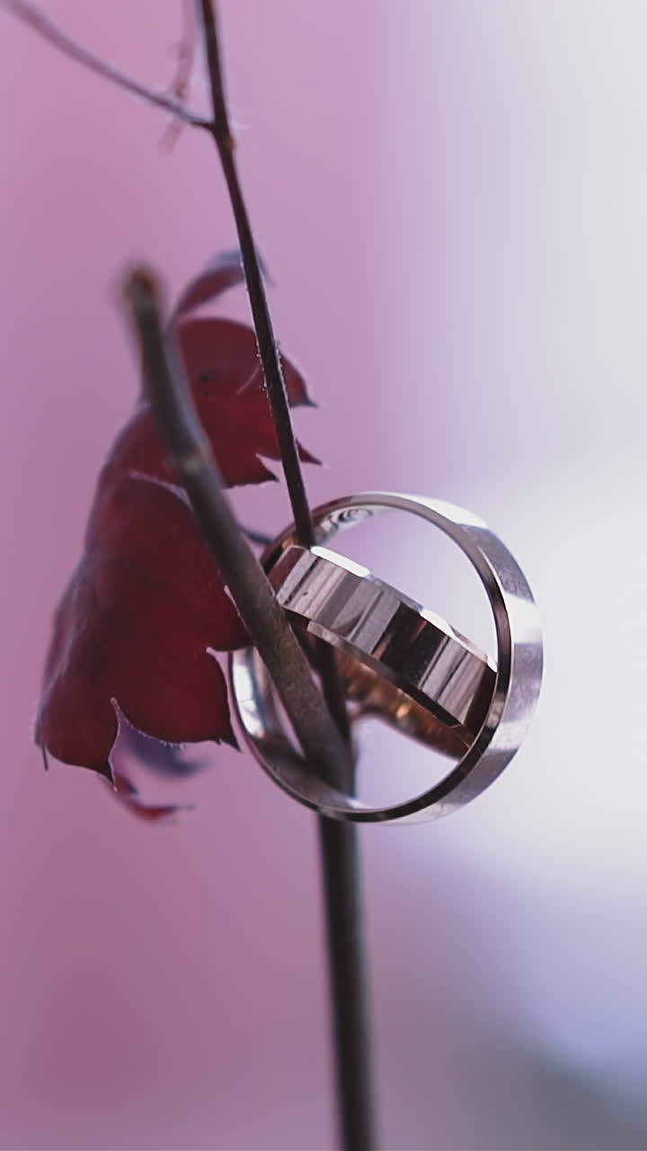 CU shot, slow motion: pair of new shiny gold wedding rings hang on thin dry twig with red leaf on blurred color background extreme close view