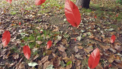 animation of autumn leaves falling against close up view of fallen leaves on the ground